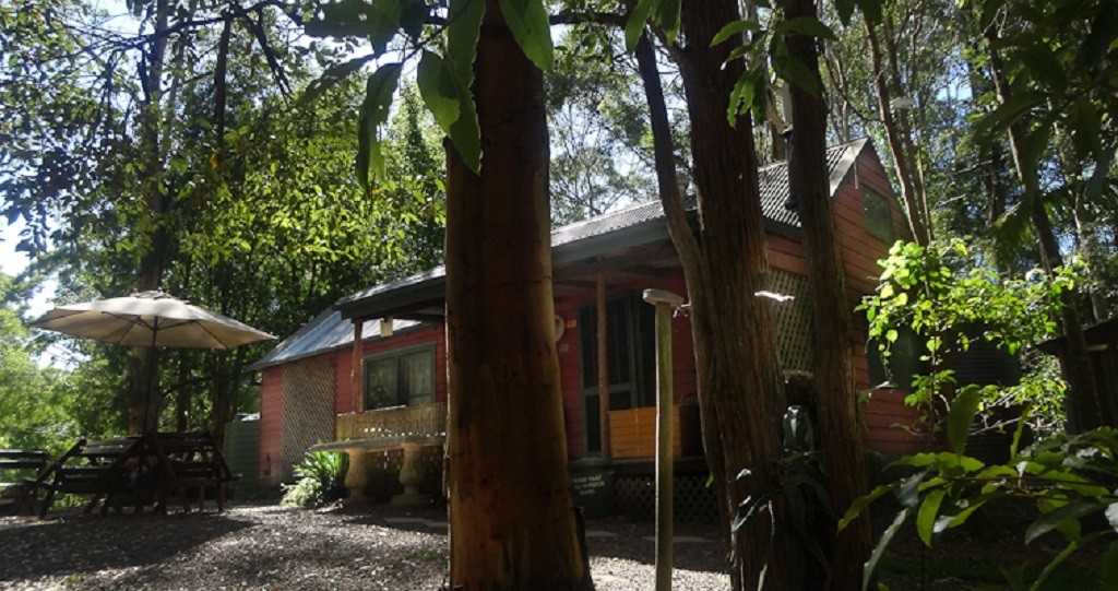 The Back Cabin