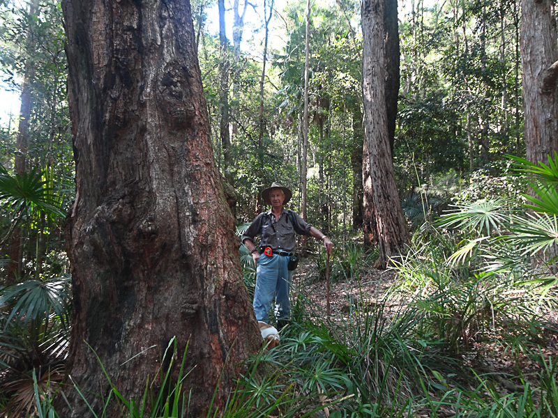 Bushwalks