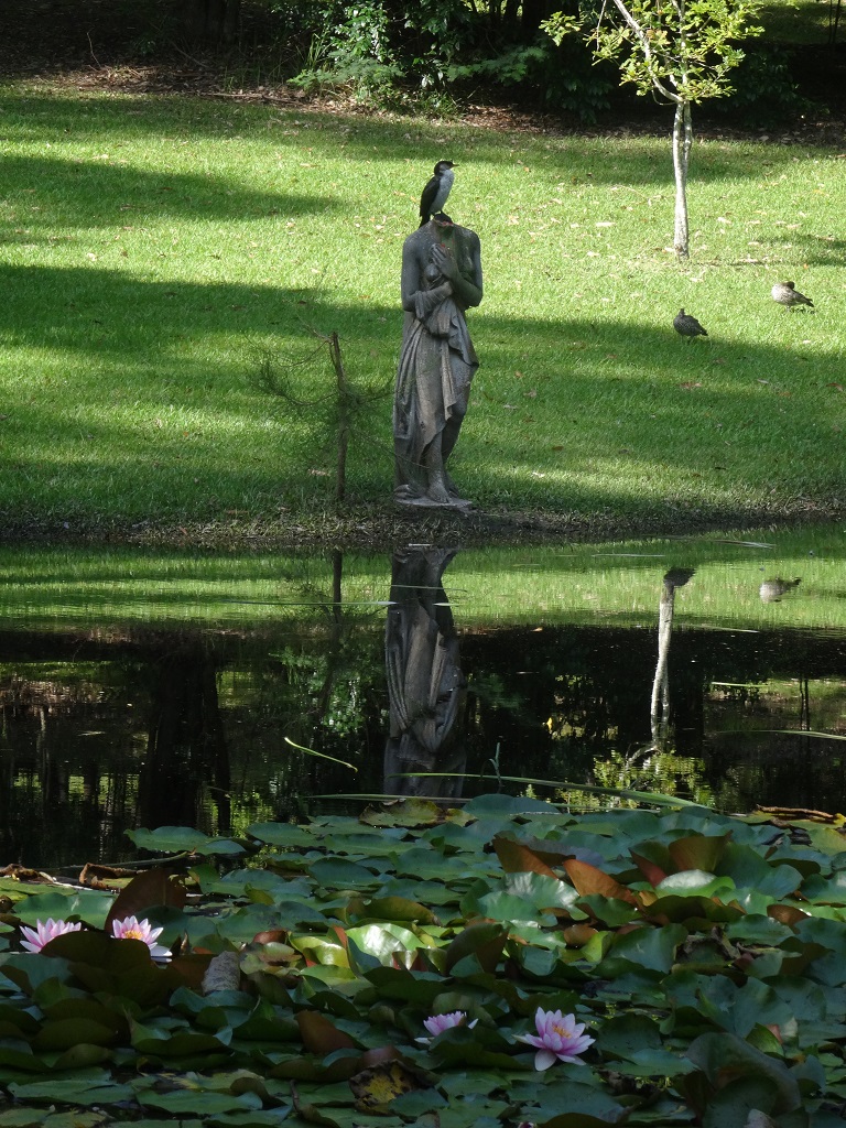 Picnic Dam